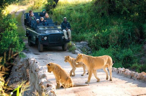 Kruger Park Lodge 401 Hazyview Exteriör bild